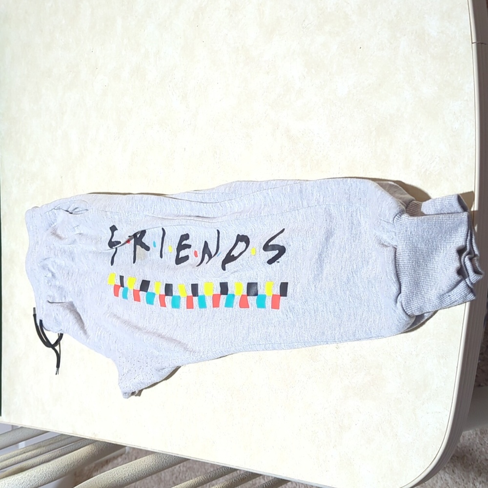 Friends gray drawstring sweatpants with pockets